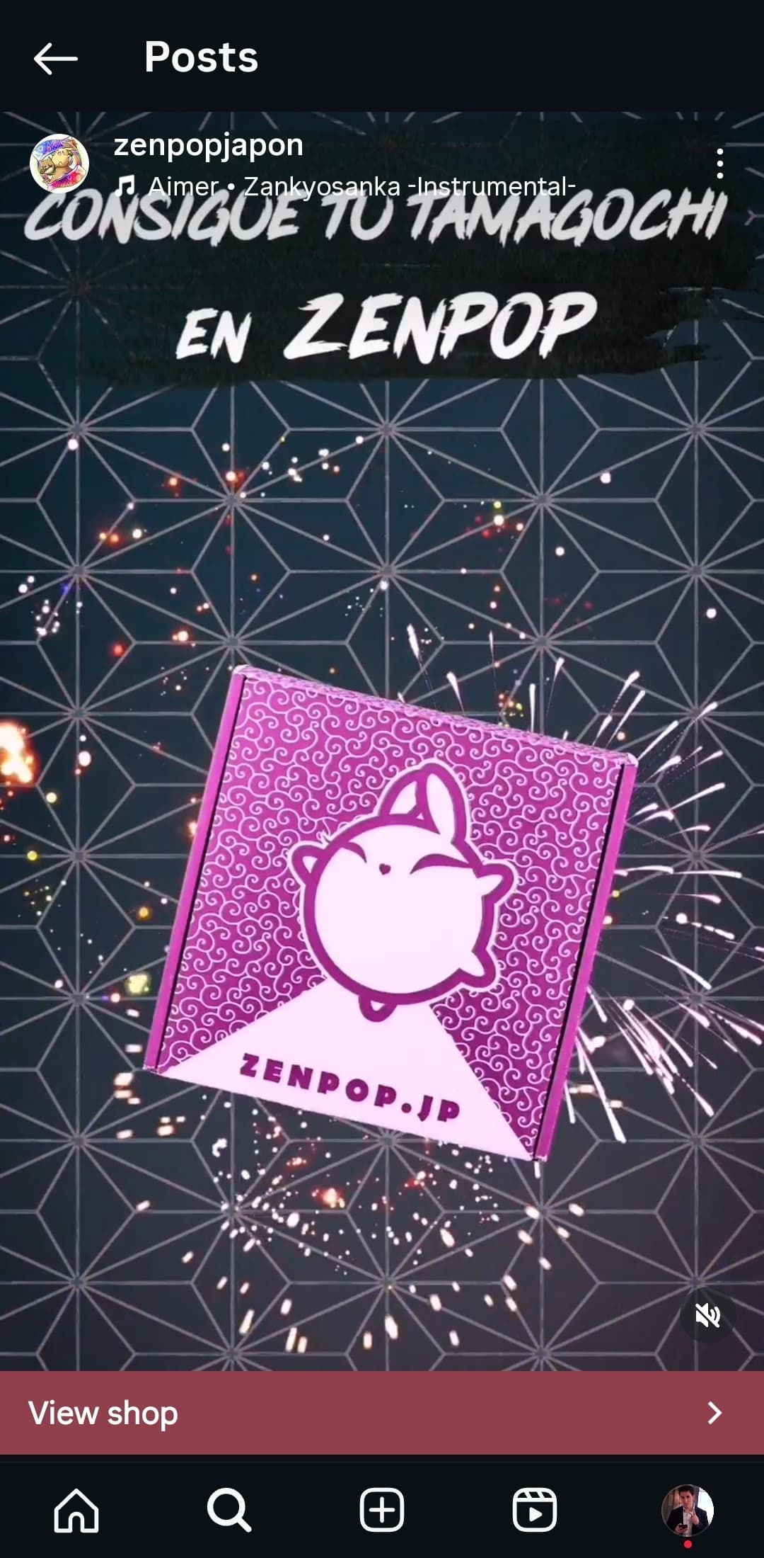 Gallery image 5 for Anime Subscription Box